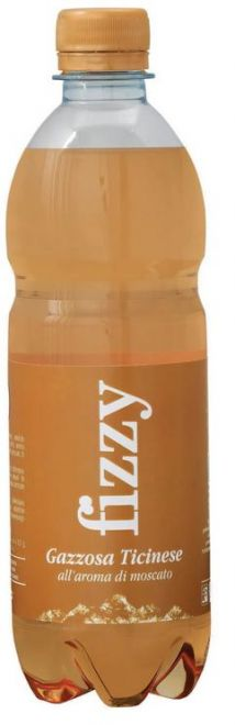 Fizzy Gazzosa Muskattraube Pet 1x6er