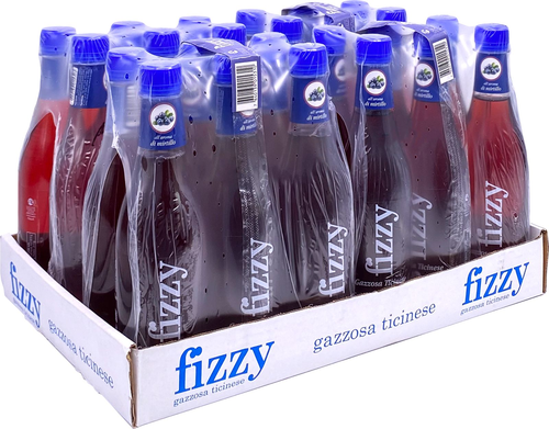 Fizzy Gazzosa Heidelbeere Pet 4x6er