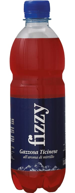 Fizzy Gazzosa Heidelbeere Pet 1x6er