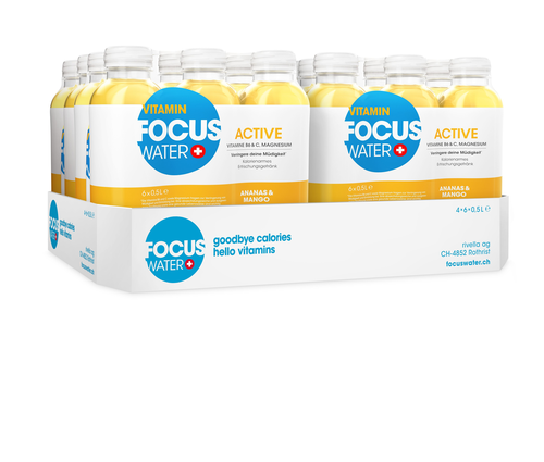 Focuswater Active Ananas Mango  4x6er PET