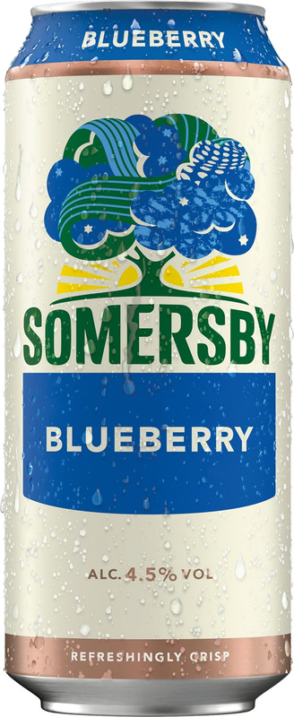 Somersby Blueberry Dosen 6x4er