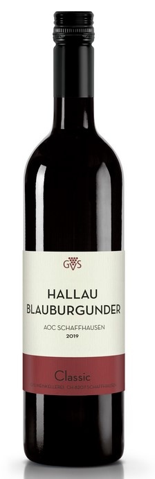 Hallauer Blauburgunder GVS