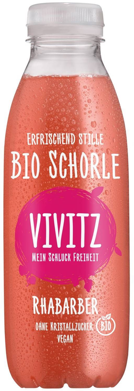 Vivitz Schorle Rhabarber Bio Pet 4x6er