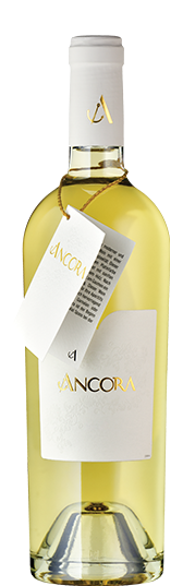 Ancora Weiss Vin de pays suisse