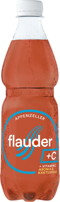 Goba Flauder Aronia und Kaktusfeige 24er