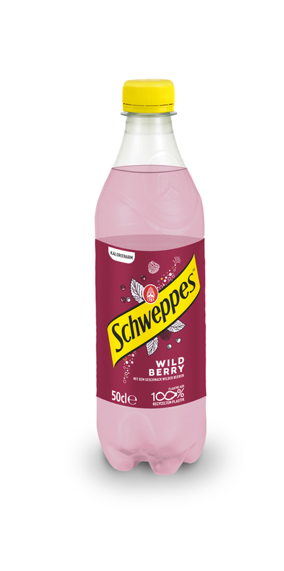 Schweppes Wild Berry Pet 1x6er