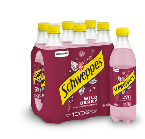 Schweppes Wild Berry Pet 1x6er
