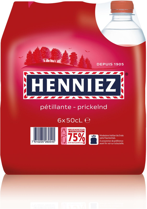 Henniez rot Pet 4x6er