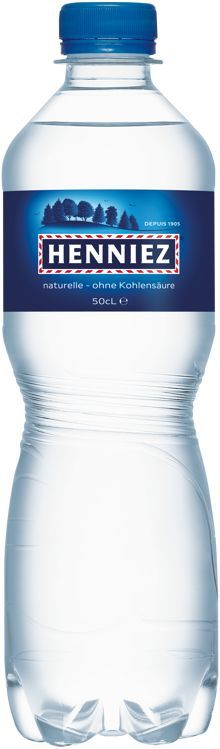 Henniez blau Pet 4x6er