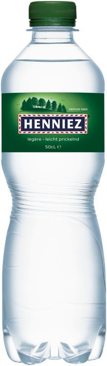 Henniez grün Pet 4x6er