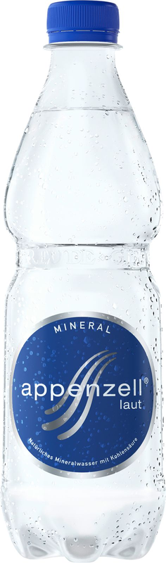 Goba Mineral Laut Pet 4x6er
