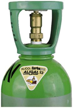 Aligal 13 Carfood