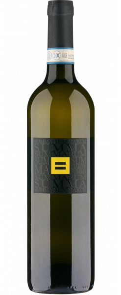 Summa Summarum Pinot Grigio delle Venezie DOP