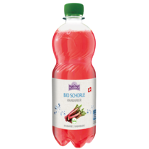 Holderhof Rhabarber Schorle BIO