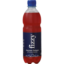 Fizzy Gazzosa Heidelbeere Pet 1x6er