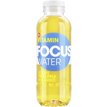 Focuswater Active Ananas Mango  4x6er PET