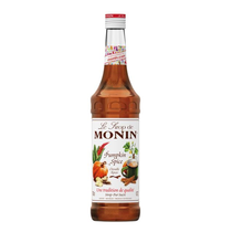 Sirup Monin Winter Spice