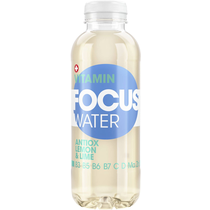 Focuswater Antiox Lemon und Ginger 4x6er Pet