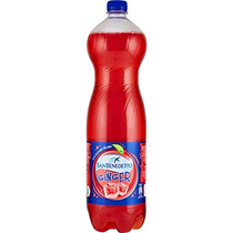 San Benedetto Bibita Ginger Pet Schrumpfpackung
