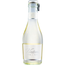 Vintonic 6x4er