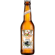 Appenzeller Ginger Beer alkoholfrei 4x6er EW