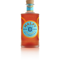 Malfy Gin con Arancia