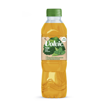 Volvic Pet Grüntee Minze 4x6er