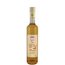 Holderhof Sirup Bio Ingwer