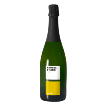 Nadine Saxer Secco