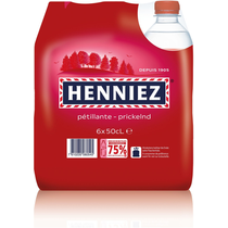 Henniez rot Pet 4x6er