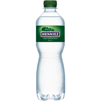 Henniez grün Pet 4x6er