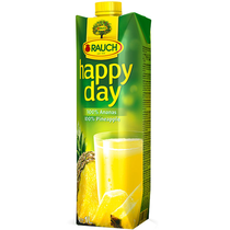 Rauch Ananassaft Tetra