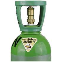 Aligal 13 Carfood