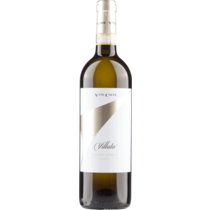 Vite Colte Roero Arneis DOCG Villata