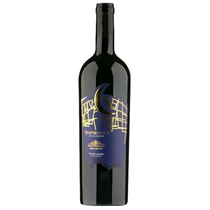 Quattronotti Appassimento Negroamaro Montemajor Salento IGT