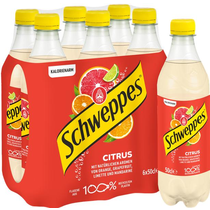 Schweppes Citrus/Agrumes Pet 4x6er